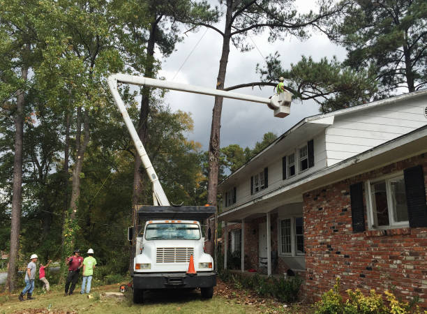  Country Clu, MO Tree Care Pros